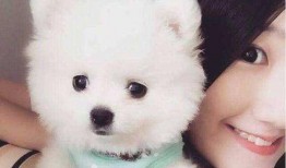 博美爆料新闻事件真相,揭开新闻事件背后真相