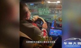 滴滴刘师傅爆料视频,揭秘网约车行业真相